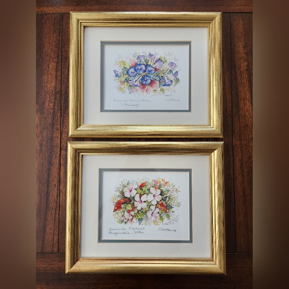 Carole Holding framed and signed artwork